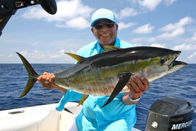 atun-aleta-amarilla