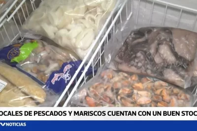 pescaderia punta arenas