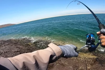 que se pesca en antofagasta