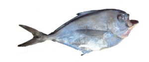 reineta