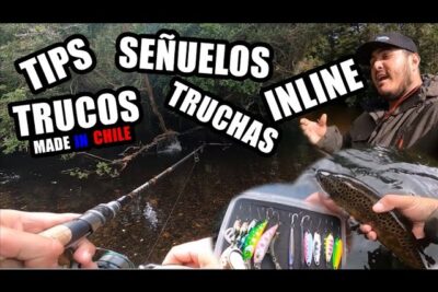 Consejos para Acampar y Pescar en Ríos de Chile