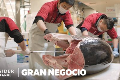atún azul gigante