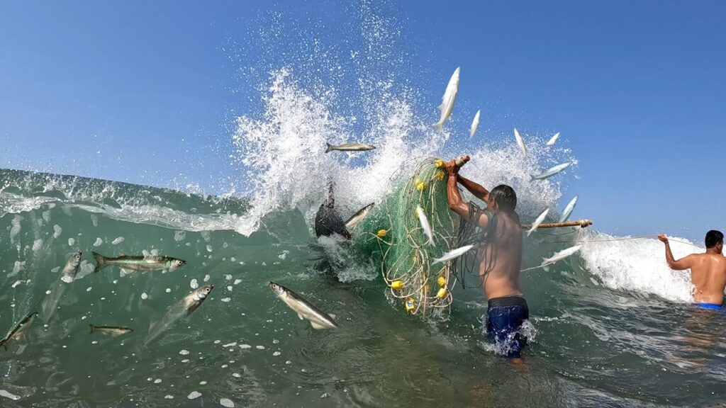 chinchorro red de pesca