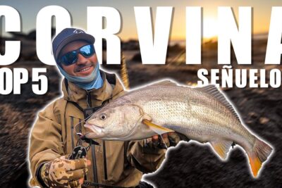 el mejor señuelo para corvina