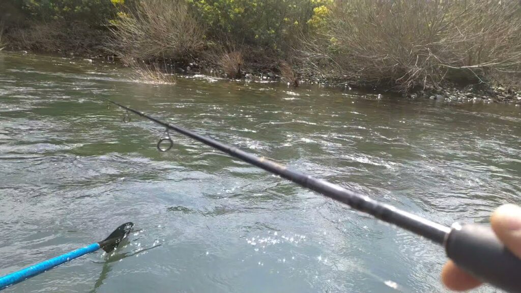 pesca biobio