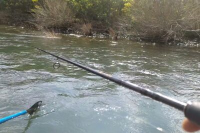 pesca biobio