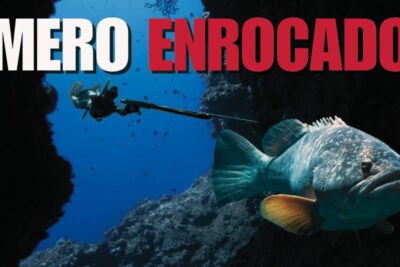pesca con arpon