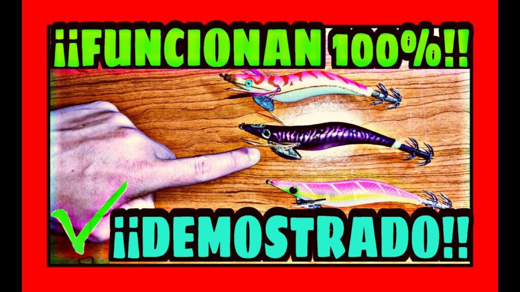 jibioneras para calamar
