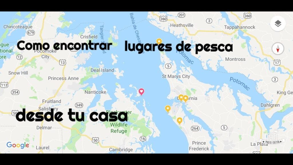 lugares de pesca cerca de mi