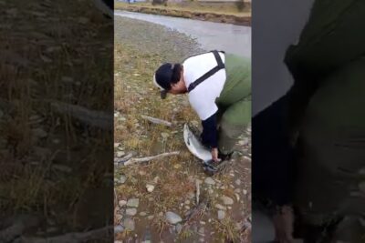 lugares de pesca en punta arenas
