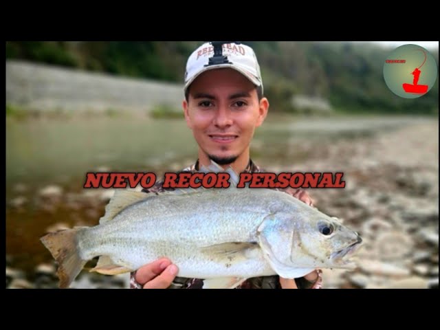pesca javi