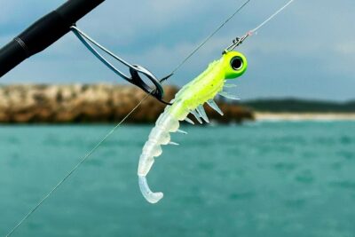 pesca ocio