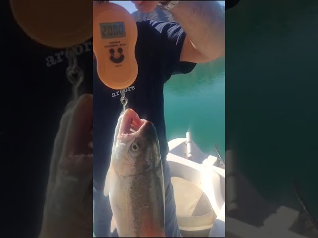 pesca oriol orihuela
