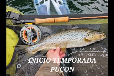 pesca pucon