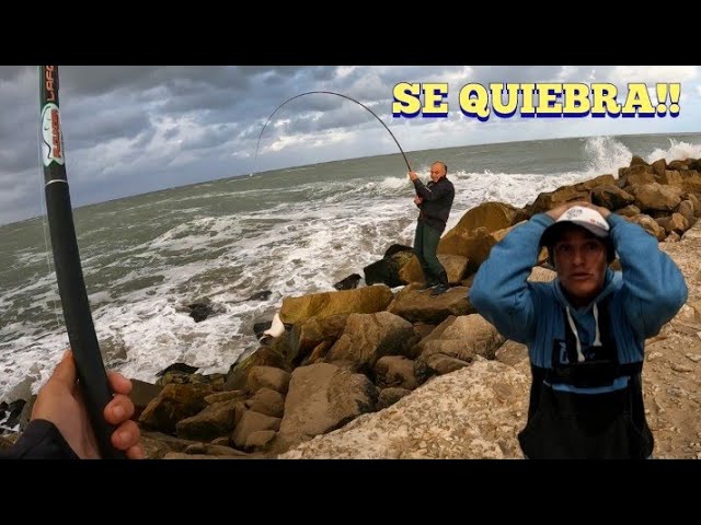 pesca variada