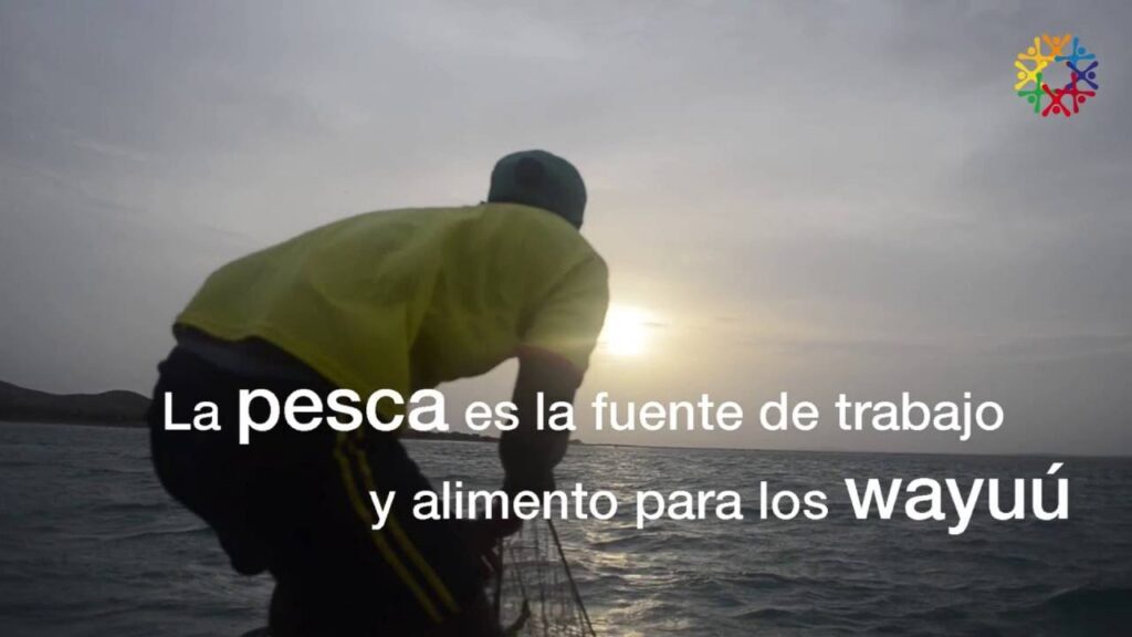 pesca wayuu