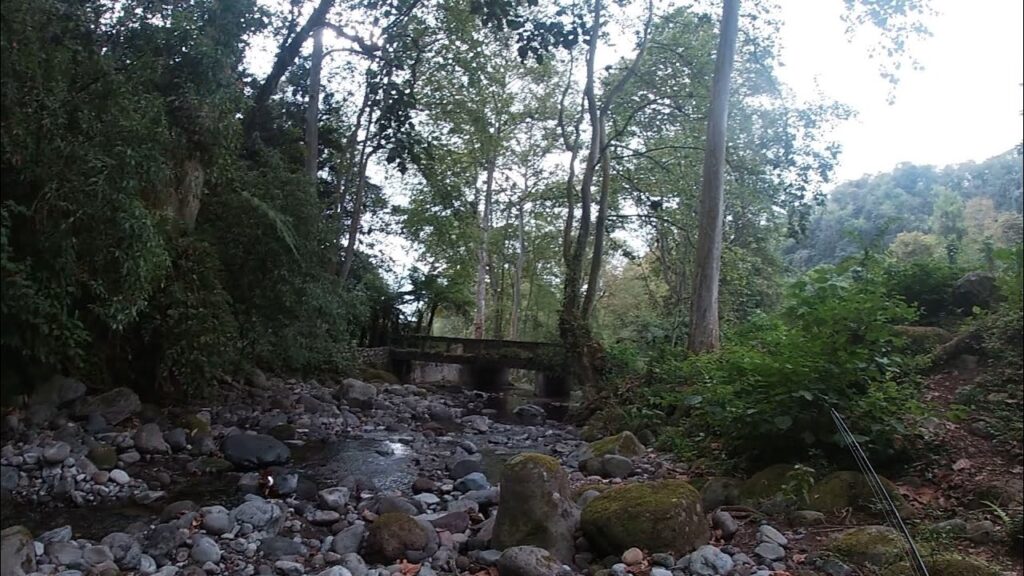 pesca xalapa