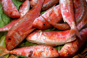 salmonete