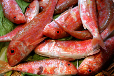 salmonete