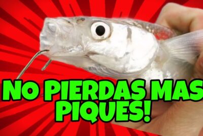 anzuelos gamakatsu para pejerrey