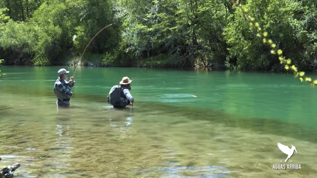 chile pesca con mosca