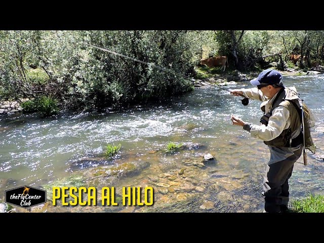 pesca al hilo