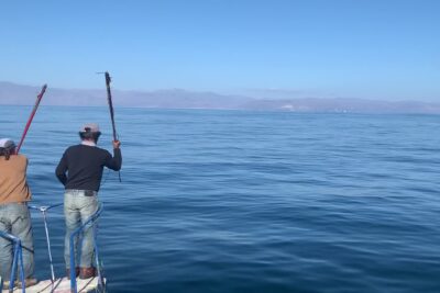 pesca albacora