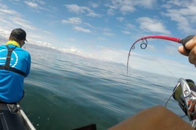 pesca antofagasta