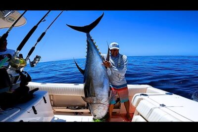 pesca azul