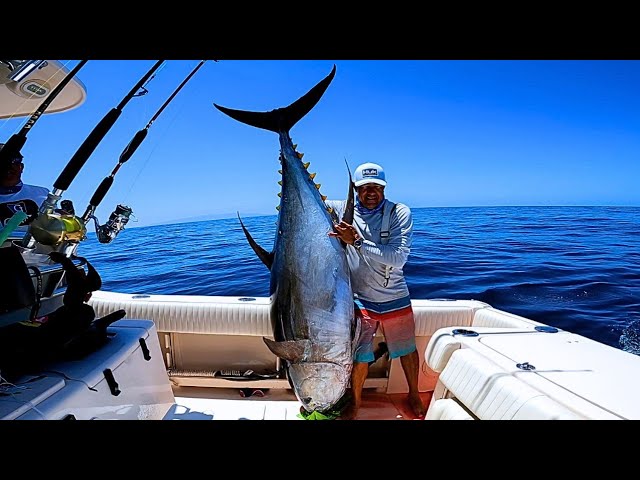 pesca azul