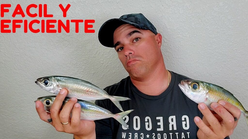 pesca chicharro