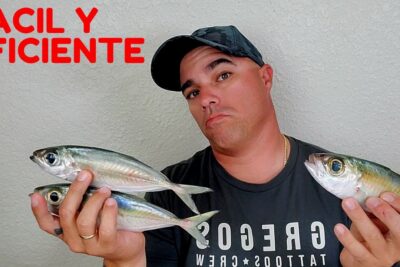 pesca chicharro