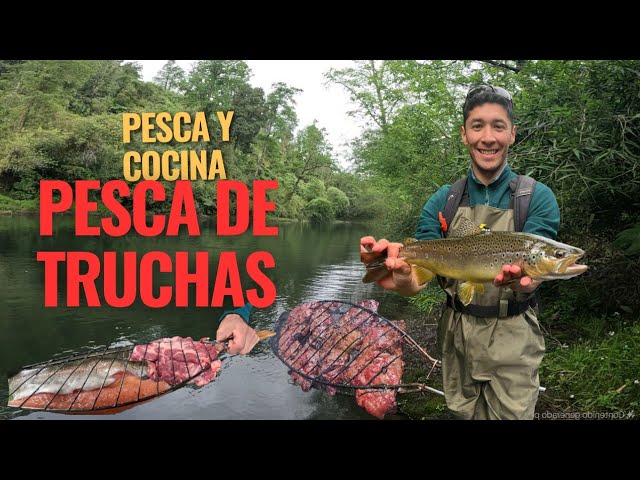 Pesca con Chile: Guía Completa para Disfrutar de la Pesca ...