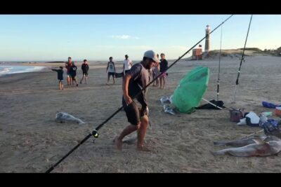pesca corvina negra