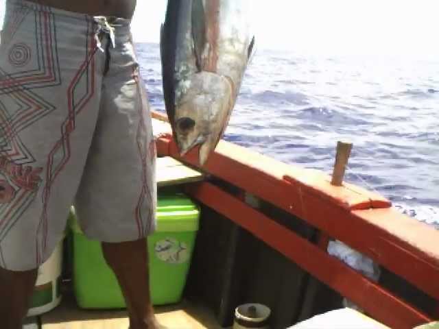 pesca de albacora