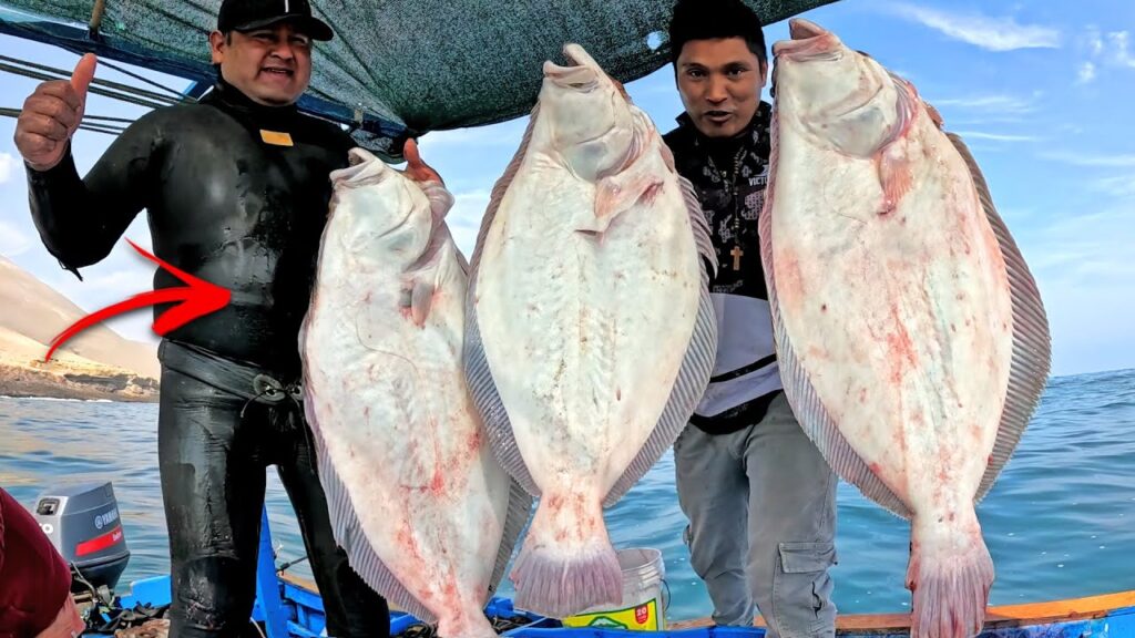 pesca de lenguado
