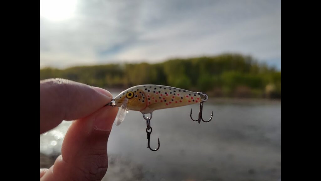 pesca de truchas en neuquen