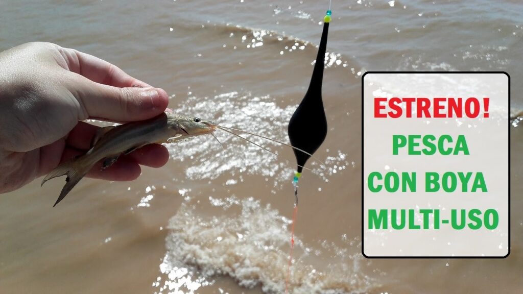 pesca en costanera norte 2021