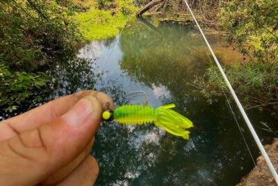 pesca en rio