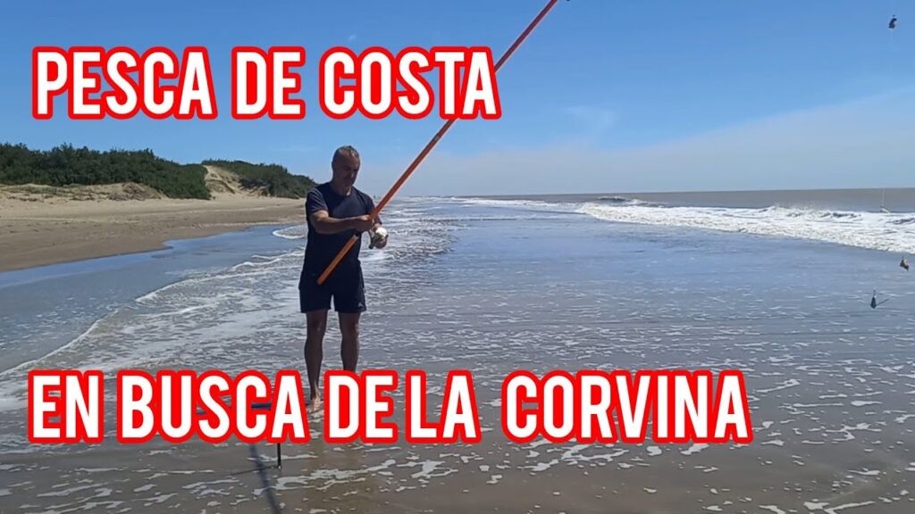 pesca en san clemente hoy