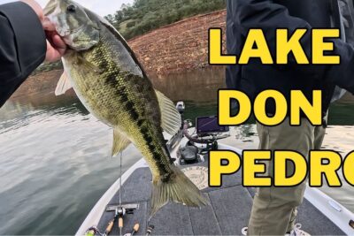 pesca en san pedro hoy