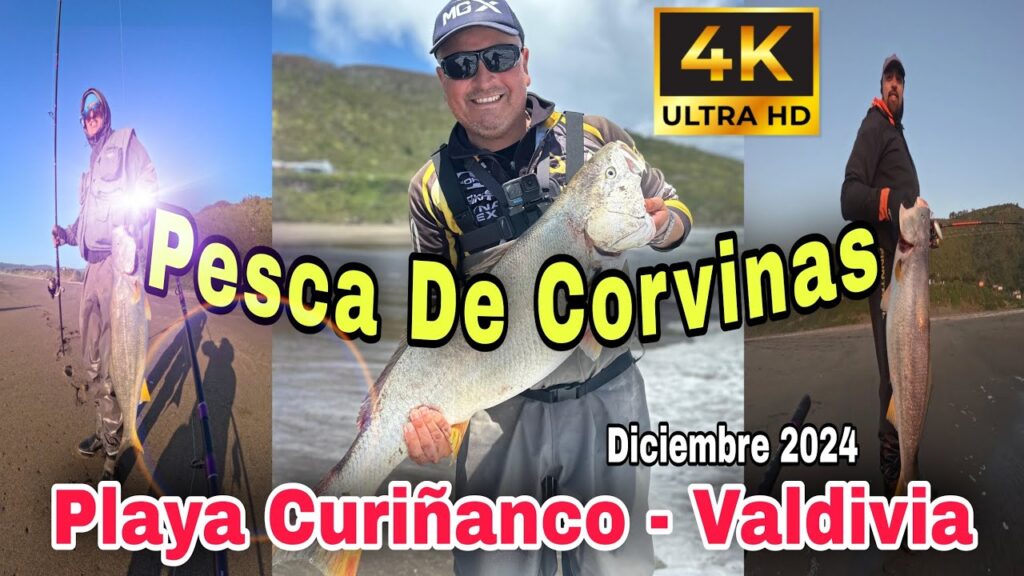 pesca en valdivia chile