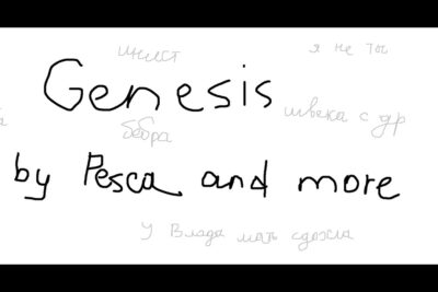 pesca genesis puerto montt