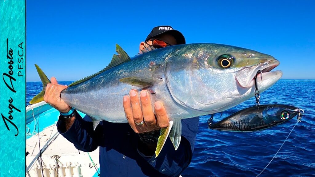 pesca jurel spinning