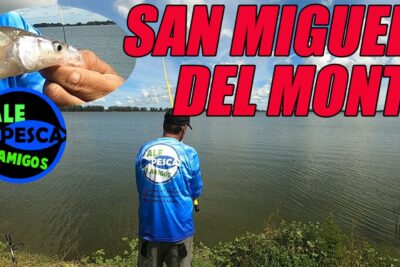 pesca pejerrey hoy