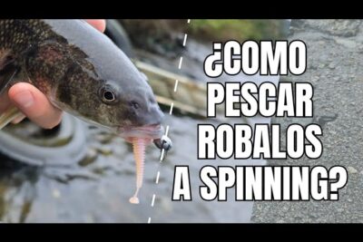 pesca robalo chile