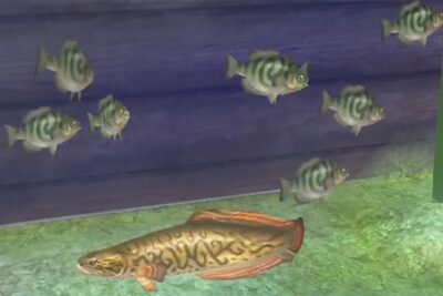 pesca zelda twilight princess