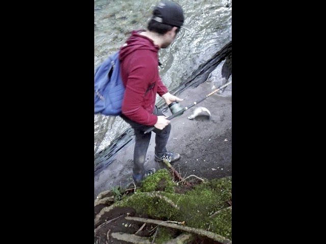 pescaderia en pucon