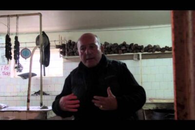 pescaderia en puerto varas