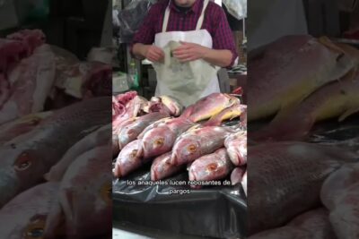 pescaderia gustos del mar